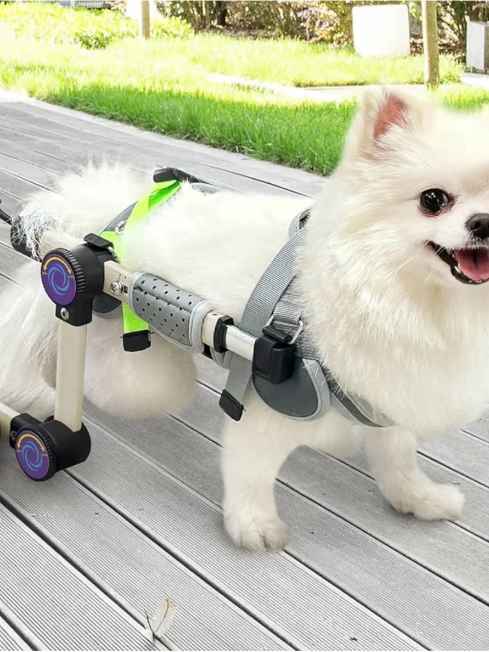 Adjustable Dog Wheelchair Harness for Small Dogs - Gray and Neon Green
